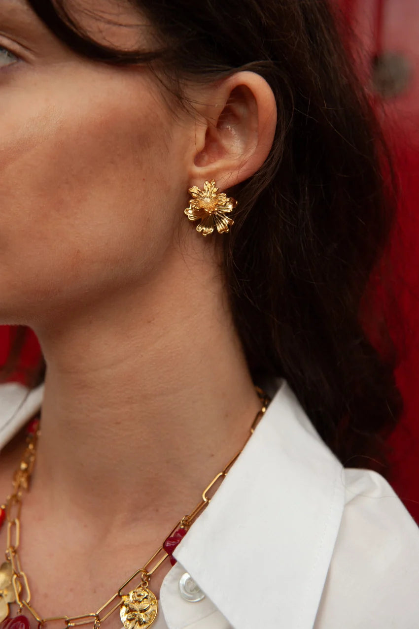 Boucles d'oreilles - Les Cleias