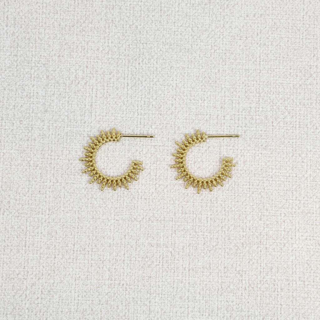 Golden Hoop Earrings 