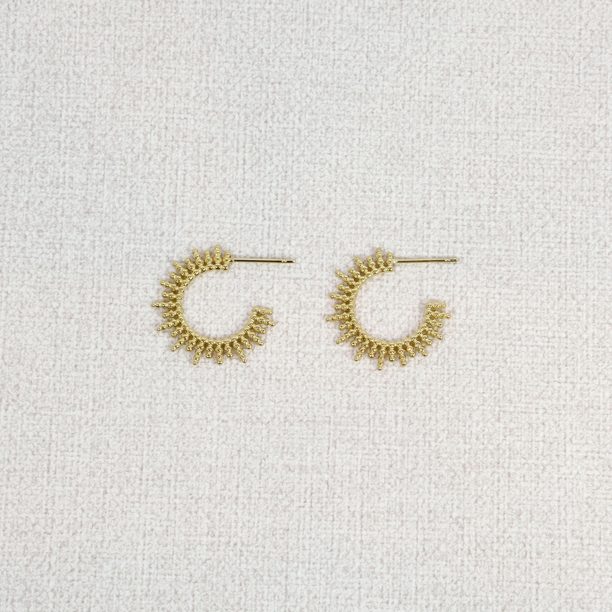 Golden Hoop Earrings 