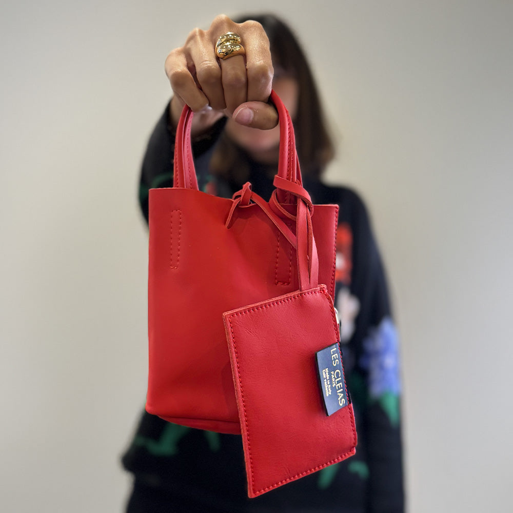 Mini Tote Bag Louis