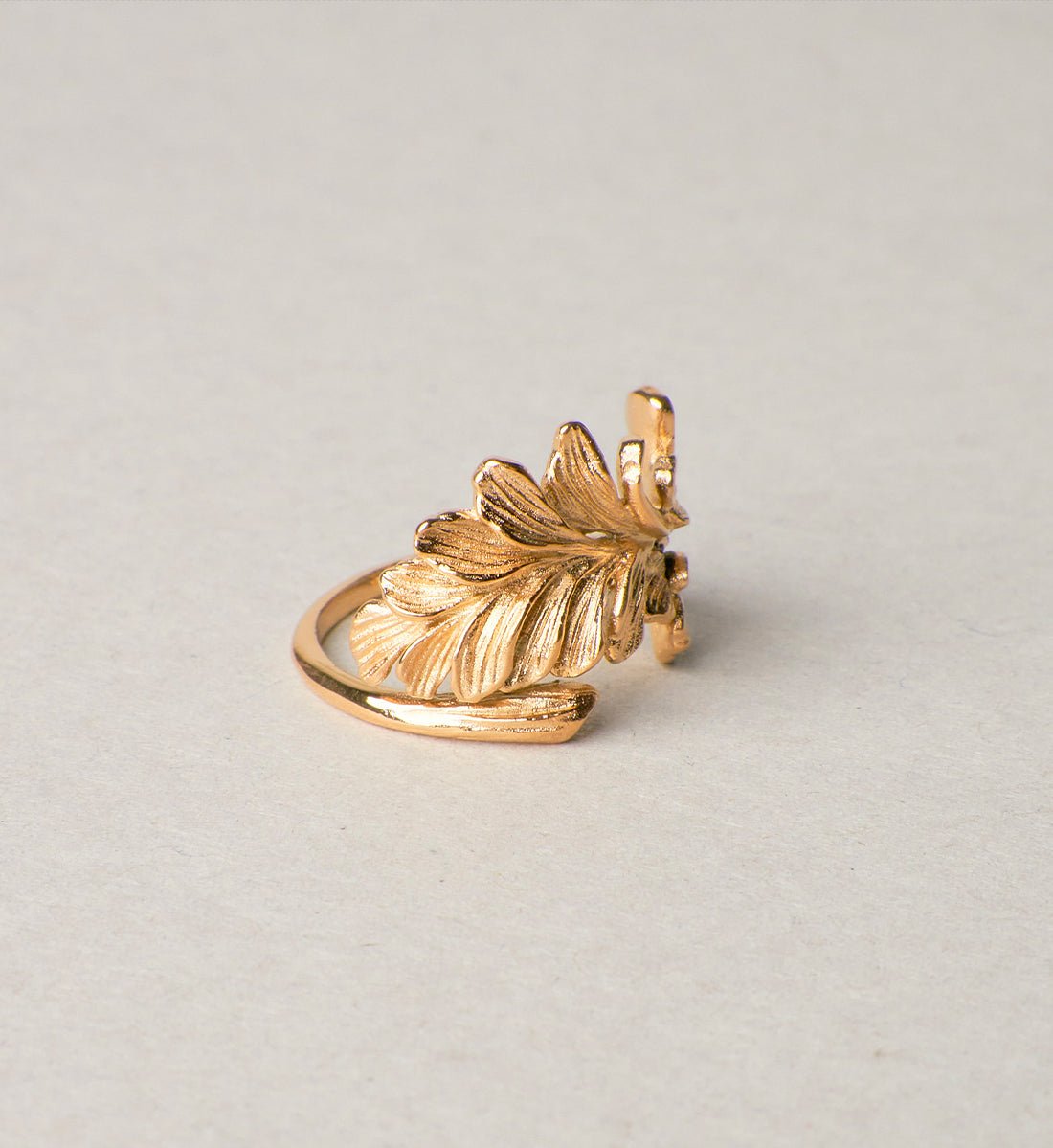 Bague Alcyon en acier inoxydable - Les Cleias