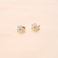 Boucle d'oreilles Mia en acier - Les Cleias