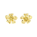 Boucles d’oreilles acier Violettes - des - Bois - Les Cleias