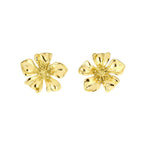 Boucles d’oreilles acier Violettes - des - Bois - Les Cleias